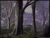 Screenshot w26 302.jpg